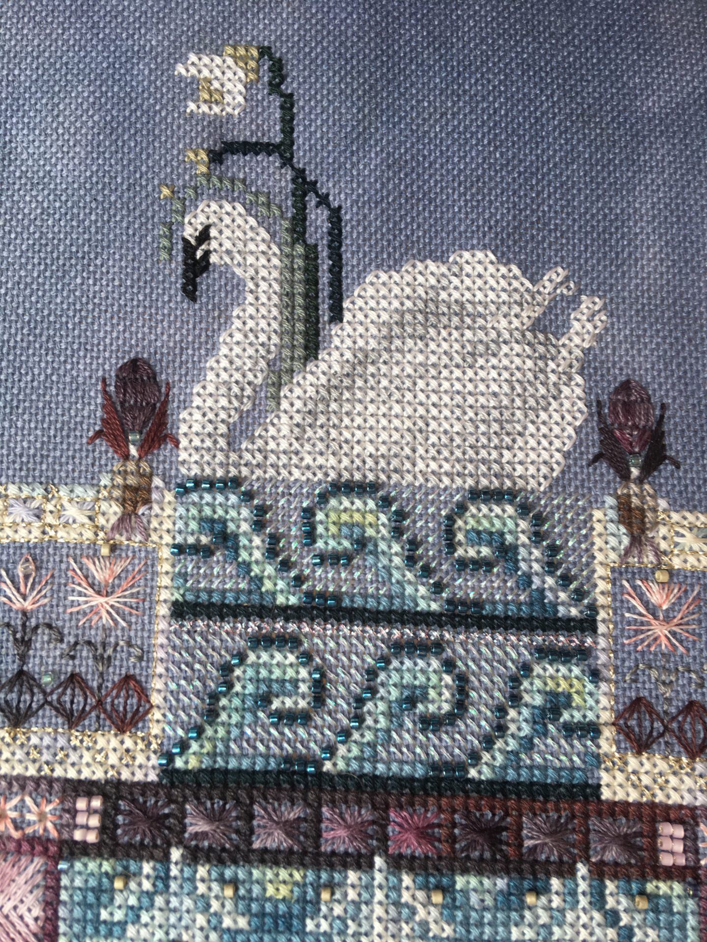 White swan
